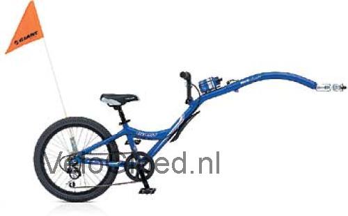 Giant Halfwheeler 7 Speed beoordelingen en specificaties